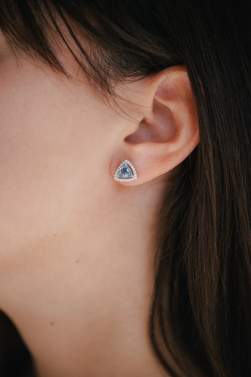 product_image_id:2489