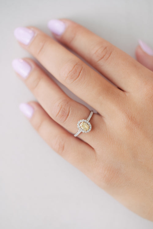 product_image_id:4798