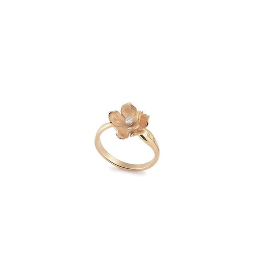 product_image_id:4319