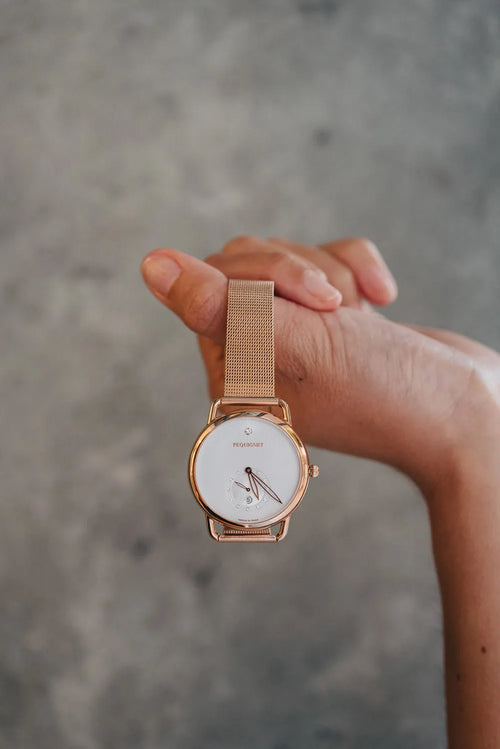 Montre Equus Origine de la marque Pequignet
