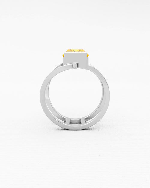 product_image_id:37521