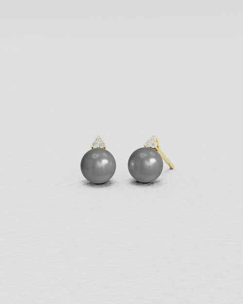 product_image_id:14555